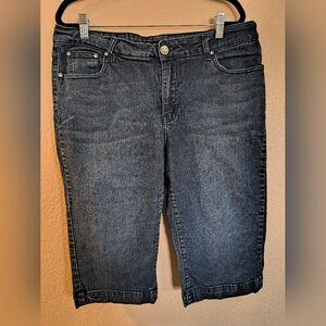 Green Zone Sz 16 Dark Denim Bermuda Shorts